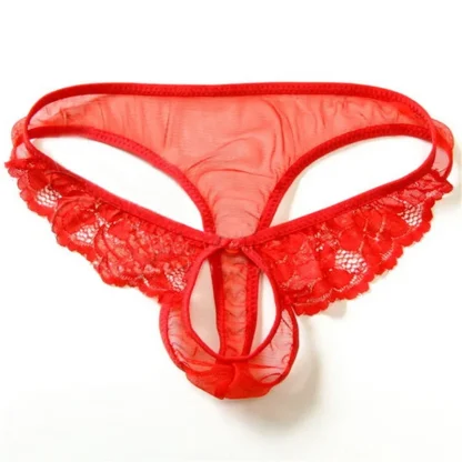 Open Crotch Sheer Lace Thong - Image 5