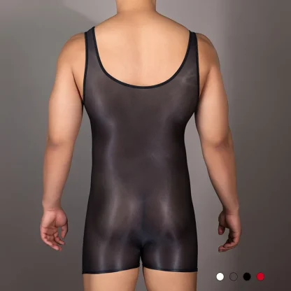 Stretchy Sexy Sheer Bodysuit - Image 2