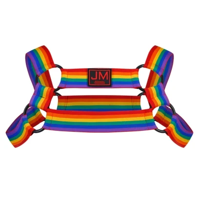 Multicolored Striped Harness Lingerie - Image 5
