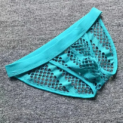 Fishnet Elastic Waist Brief - Image 10