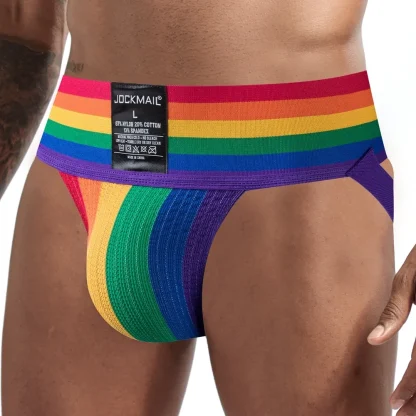 Multicolored Striped Harness Lingerie - Image 14