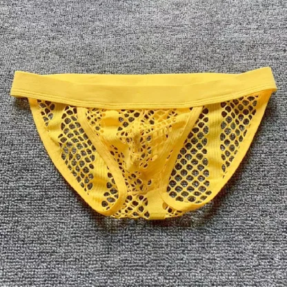 Fishnet Elastic Waist Brief