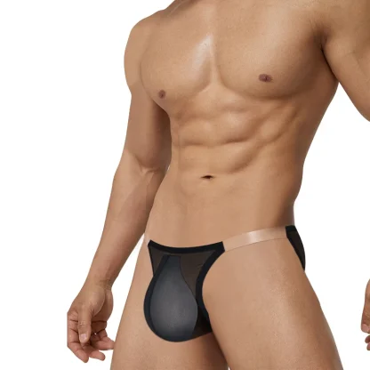 Ultra Thin Transparent Brief