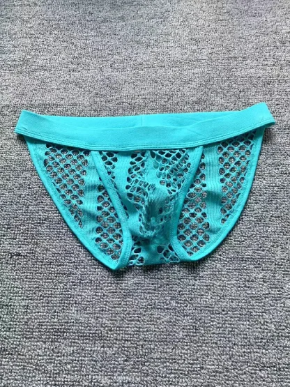 Fishnet Elastic Waist Brief - Image 9