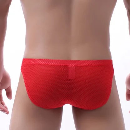Low-rise Mesh Plain Color Brief - Image 6